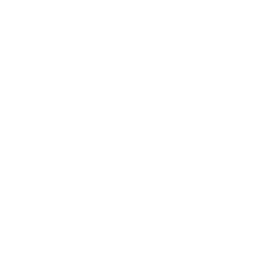 Custom Training