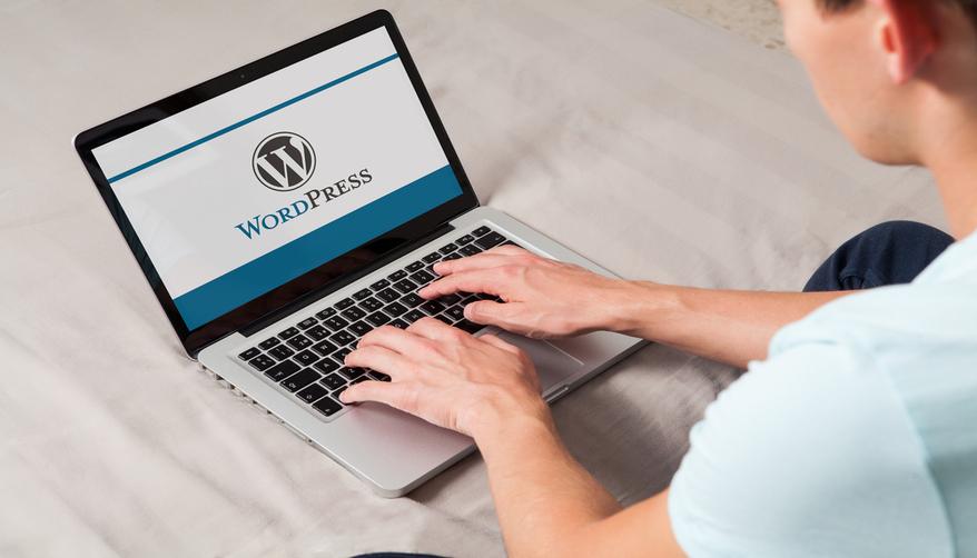 WordPress development agency